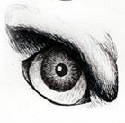 Temporary tattoo of an ancient gargoyle eye